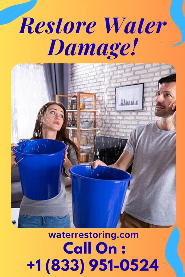 water restoration Stellar Restoration Solutions Inc Northbrook