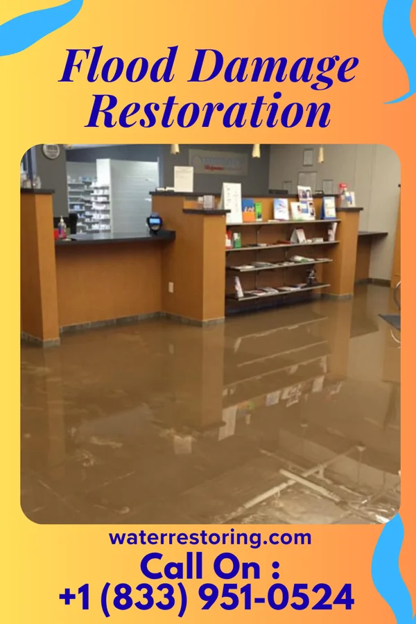 Flood Damage Restoration in Northbrook, OH