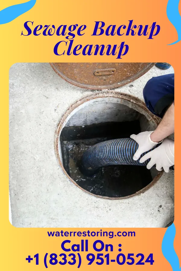 Sewage Backup Cleanup in Northbrook, OH
