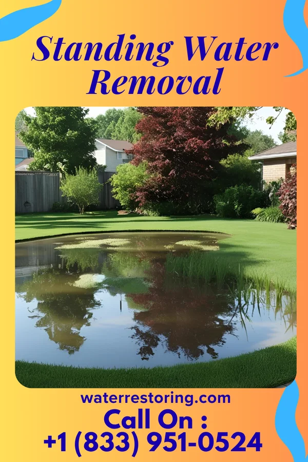 Standing Water Removal in Northbrook, OH